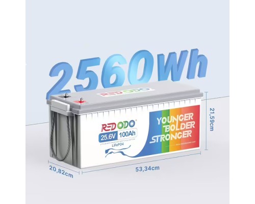 Акумуляторна батарея LiFePO4 Redodo 24V-100Ah з контролером BMS 100A