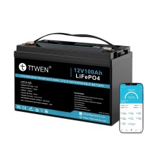 Акумулятор TTWEN 12V 100Аh 1280Wh LiFePO4 + Bluetooth