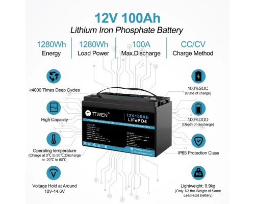 Акумулятор TTWEN 12V 100Аh 1280Wh LiFePO4 + Bluetooth