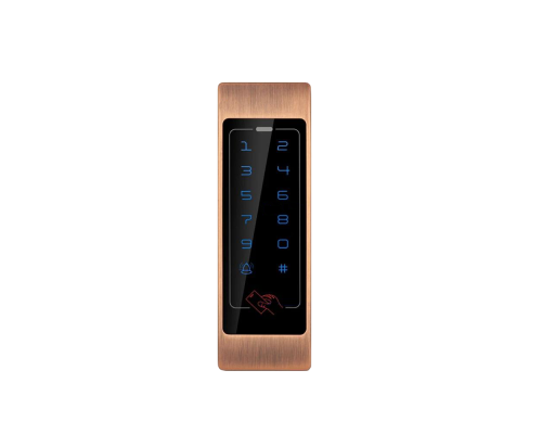 Контролер доступу GV-CEM-011 Outdoor (Bronze)