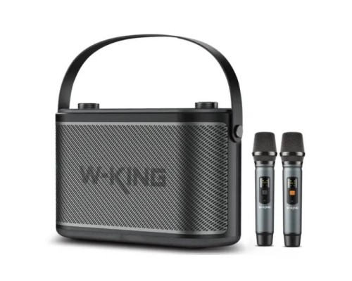 Портативна акустика W-KING H10 120W, чорна